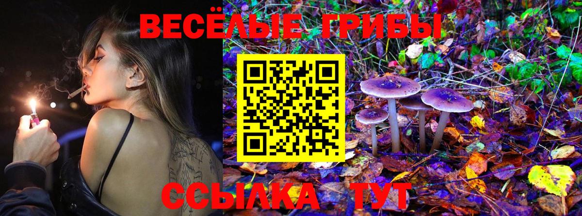Галлюциногенные грибы Psilocybine cubensis  Вход с VPN  где купить наркоту  Кимовск 
