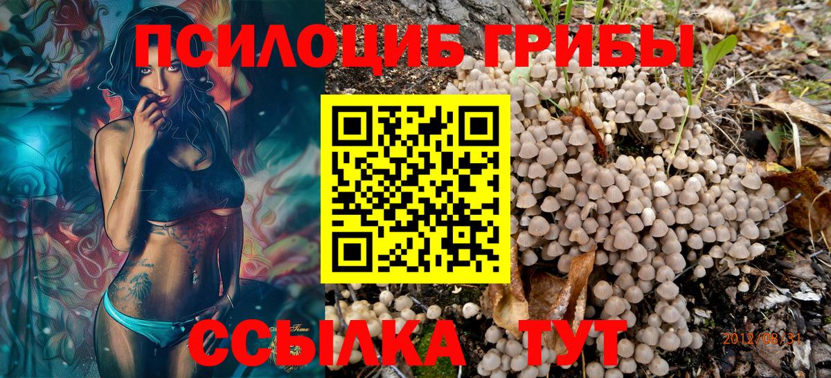 Псилоцибиновые грибы Cubensis Кимовск