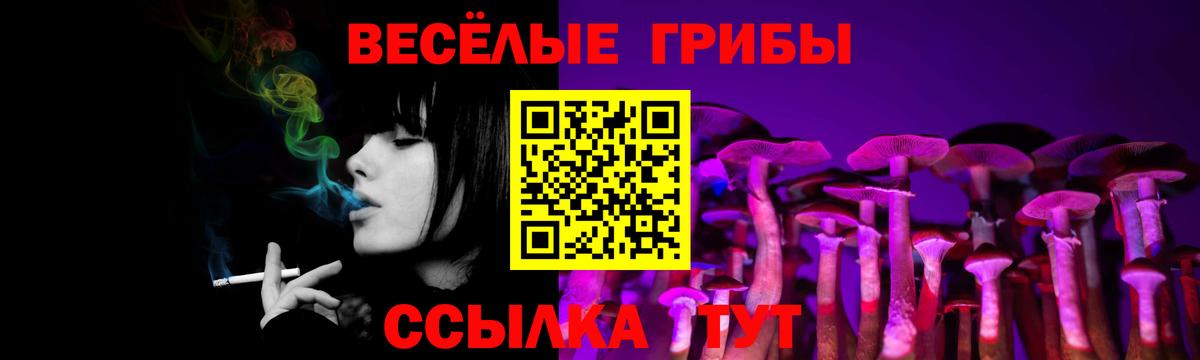 Галлюциногенные грибы мухоморы  Кимовск  Псилоцибиновые грибы MAGIC MUSHROOMS 